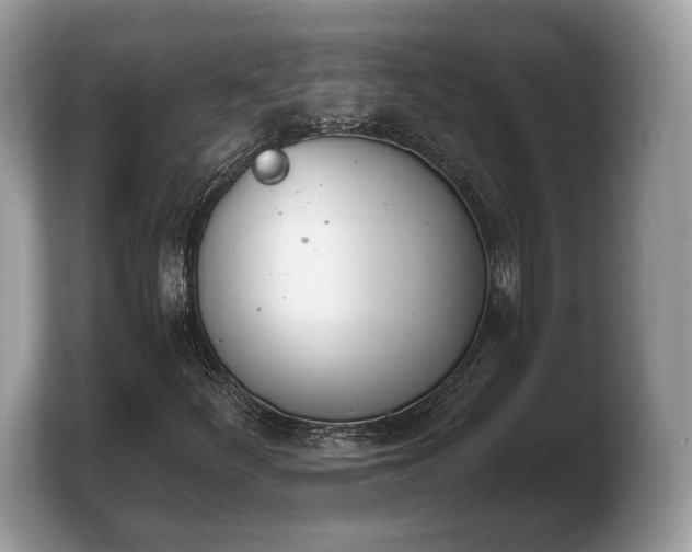 X0000103911252200809261603