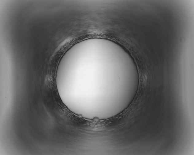X0000103911254200809261603