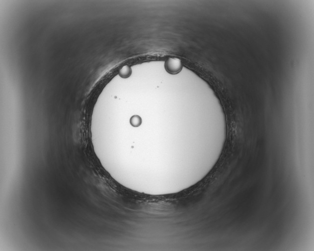 X0000103911256200809261602