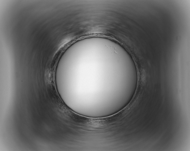 X0000103911258200809261602