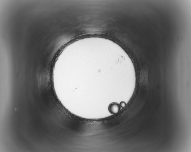 X0000103911261200809261602