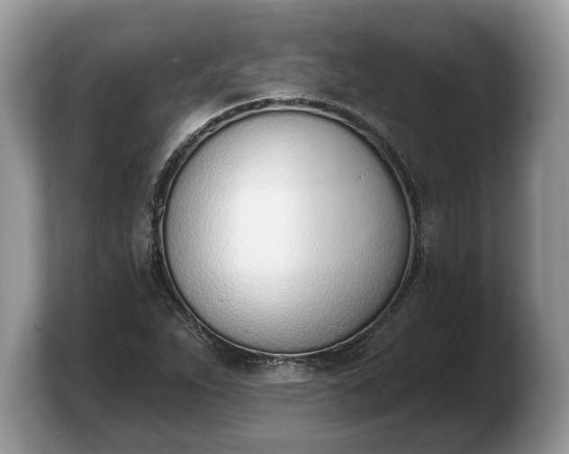 X0000103911263200809261602