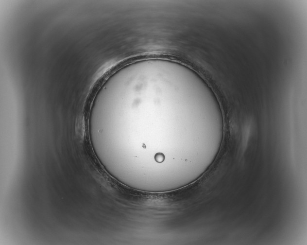 X0000103911267200809261602