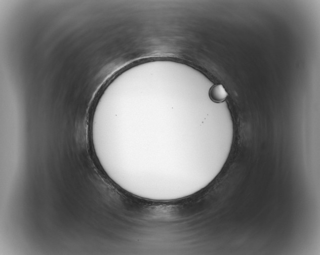X0000103911268200809261602