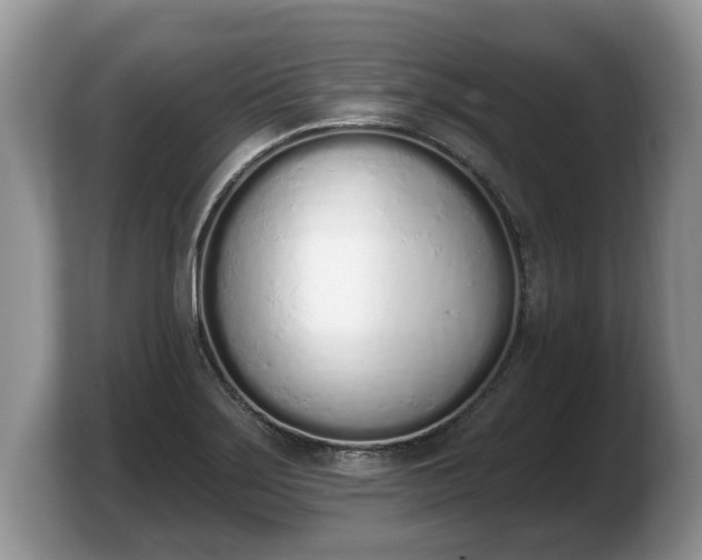 X0000103911275200809261602
