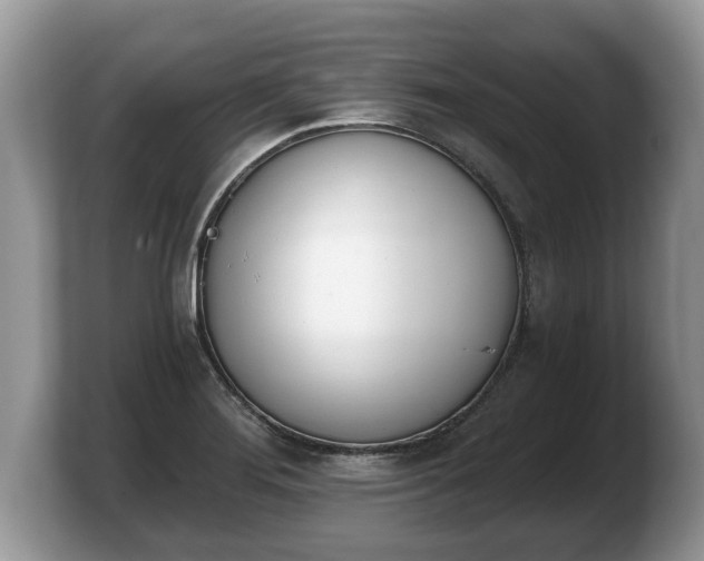 X0000103911276200809261602