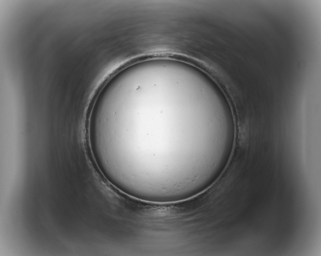 X0000103911279200809261602