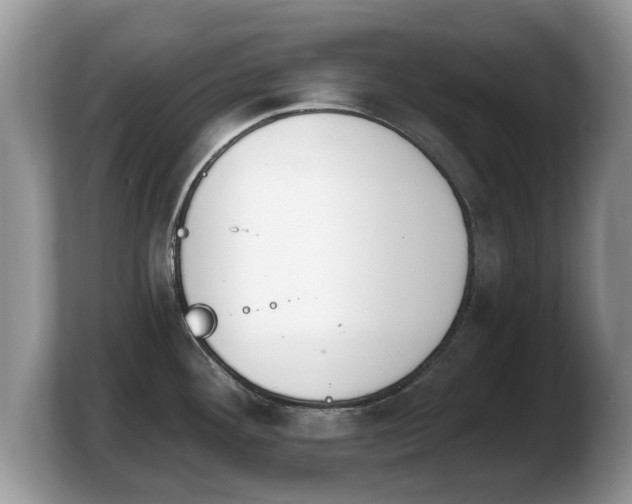 X0000103911292200809261602
