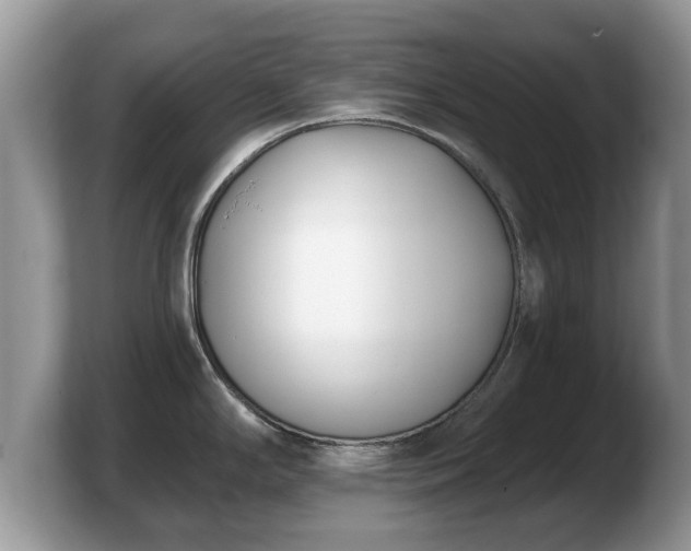 X0000103911294200809261602