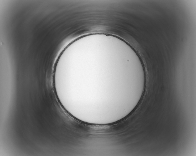 X0000103911296200809261602