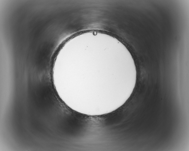 X0000103911312200809261601