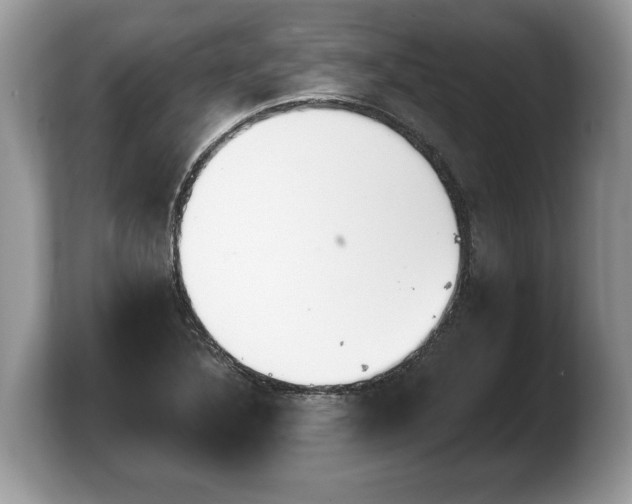 X0000103911316200809261602
