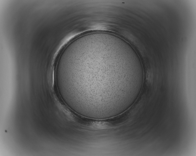 X0000103911323200809261602