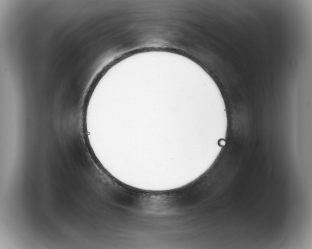 X0000103911326200809261602