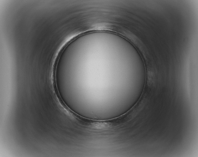 X0000103911331200809261602