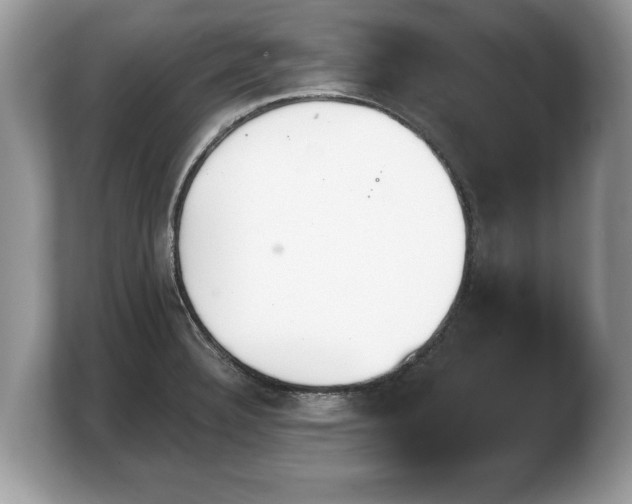 X0000103911332200809261602