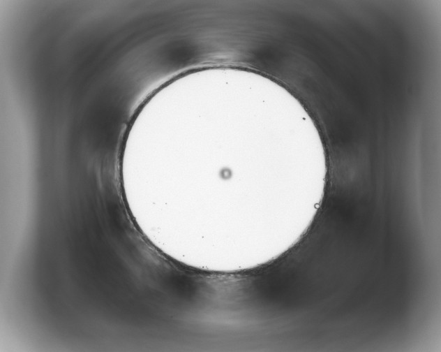 X0000103911336200809261602