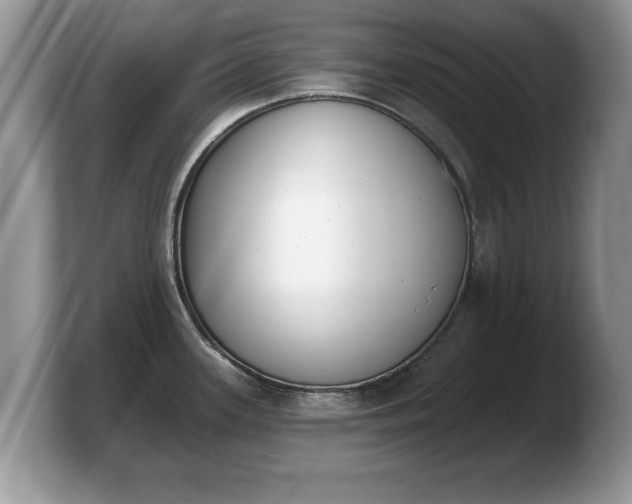 X0000103911339200809261602