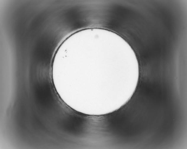 X0000103911340200809261602