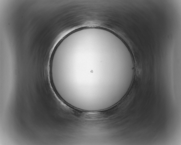 X0000103911343200809261602