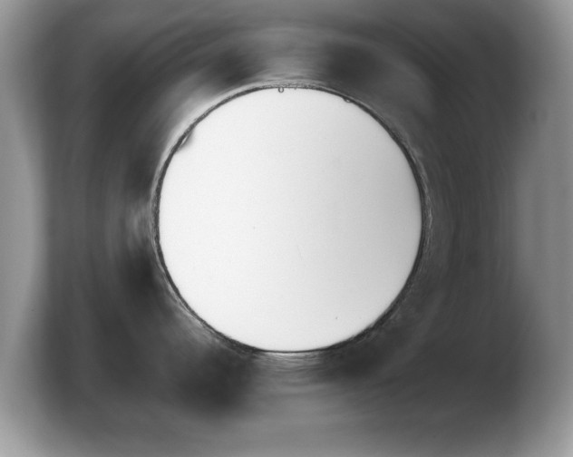 X0000103911344200809261602
