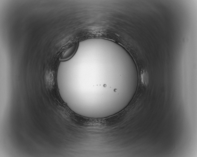 X0000103911347200809261601