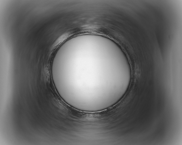 X0000103911354200809261601