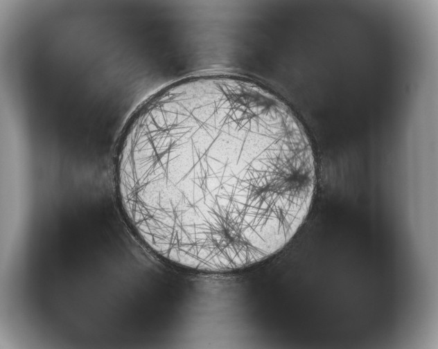 X0000103911356200809261601
