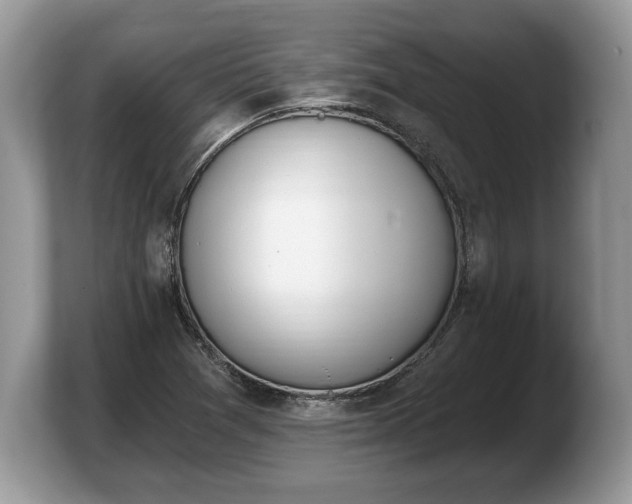 X0000103911361200809261601