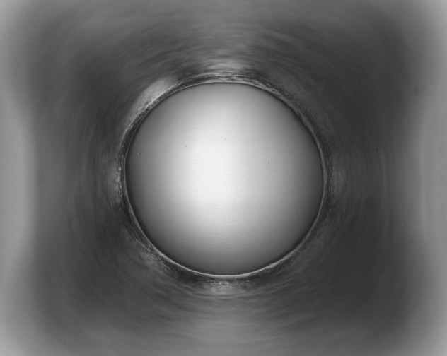 X0000103911362200809261601
