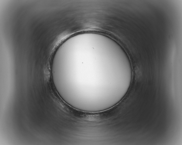 X0000103911363200809261601