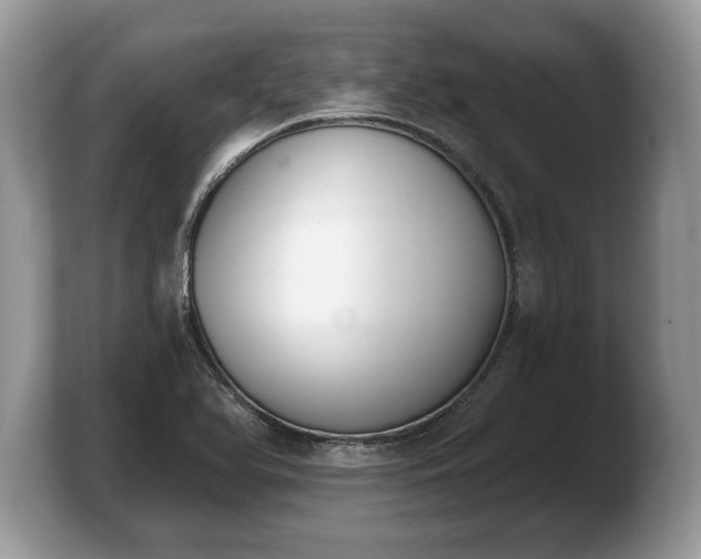 X0000103911366200809261601