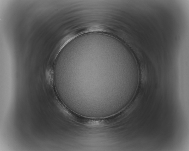 X0000103911369200809261601