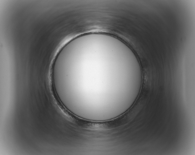 X0000103911375200809261601