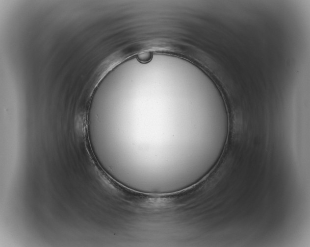 X0000103911377200809261601