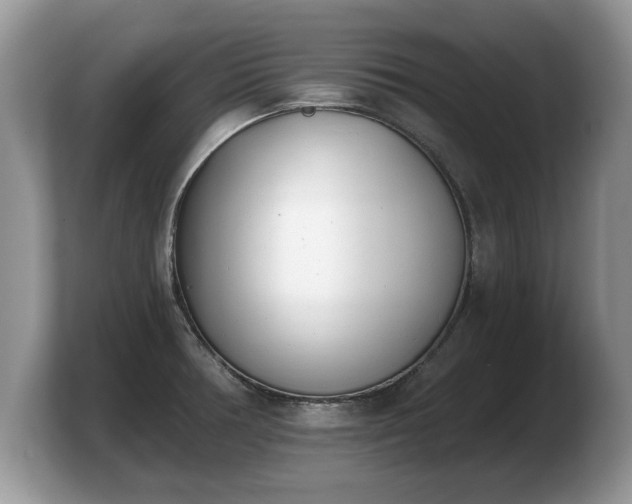 X0000103911378200809261601