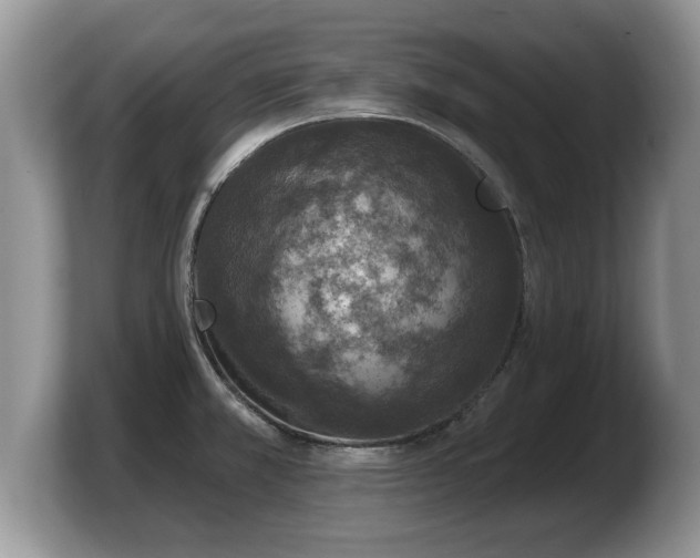 X0000103911381200809261601