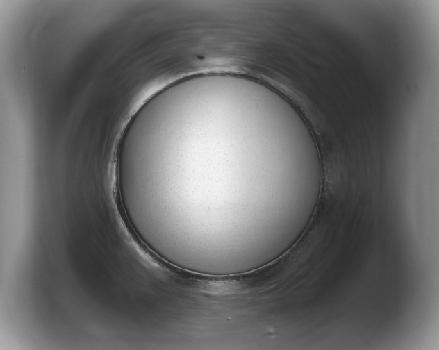 X0000103911383200809261601