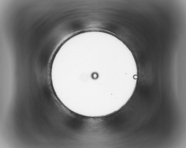 X0000103911384200809261601