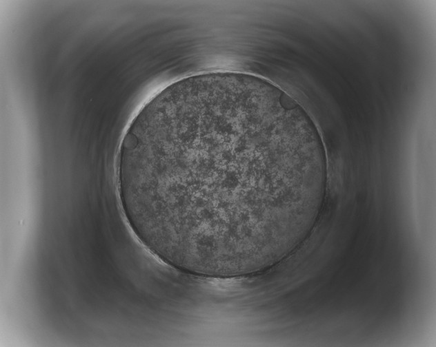 X0000103911389200809261601