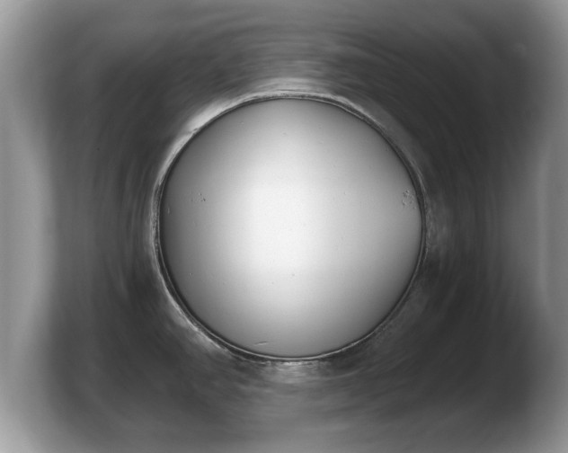 X0000103911390200809261601