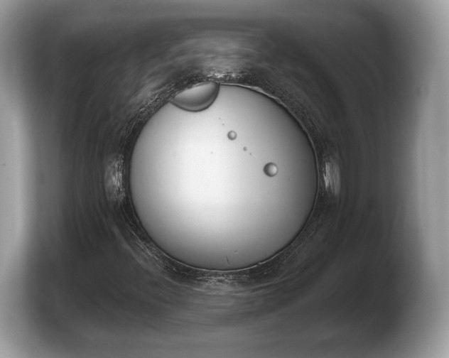 X0000103911396200809261600