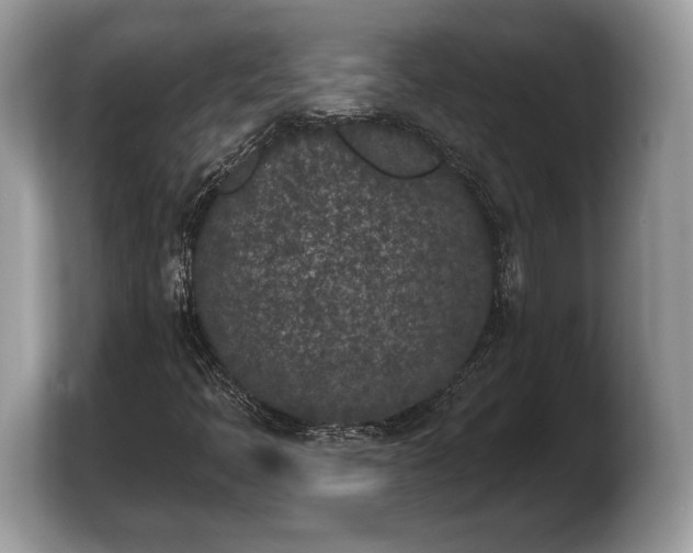 X0000103911397200809261600