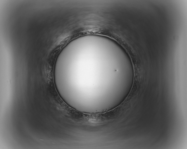 X0000103911399200809261600