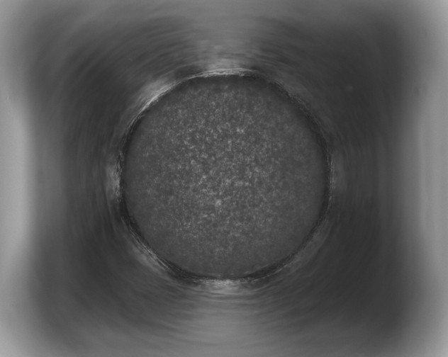 X0000103911401200809261600