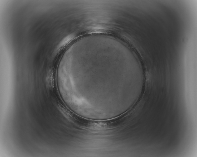 X0000103911403200809261600
