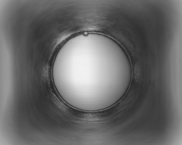 X0000103911404200809261600