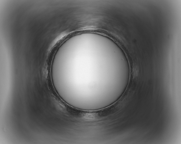 X0000103911406200809261600