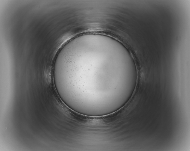 X0000103911409200809261600