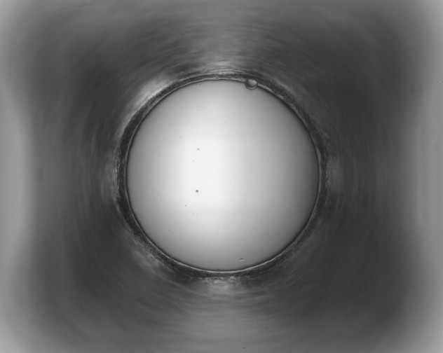 X0000103911410200809261600